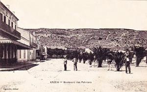 918- Arzew - Bd des Palmiers